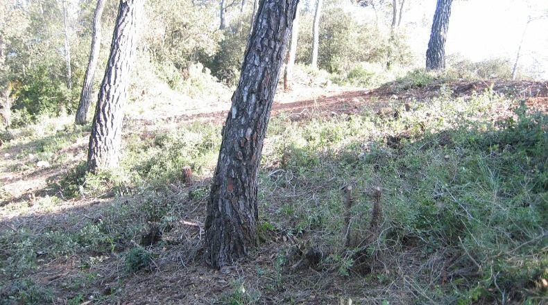 Barcelona - Caldes de Montbui - 790m2