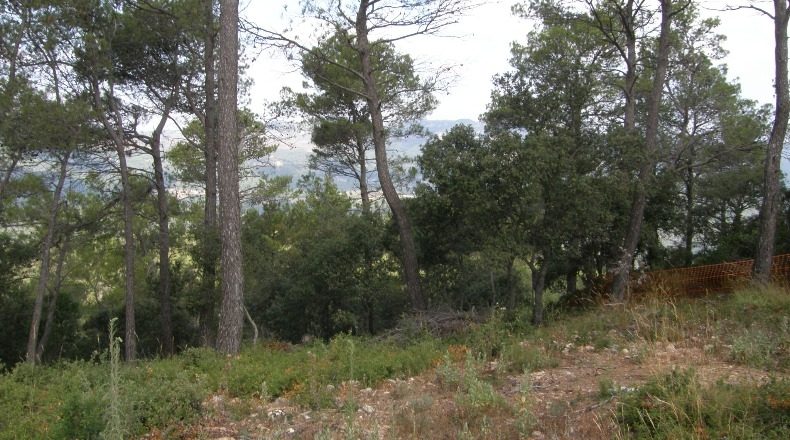 Barcelona - Caldes de Montbui - 790m2