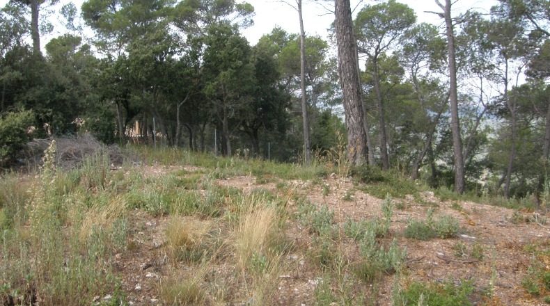 Barcelona - Caldes de Montbui - 790m2