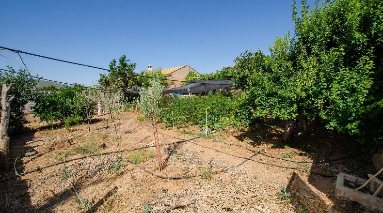 Málaga - Mollina - 1000m2