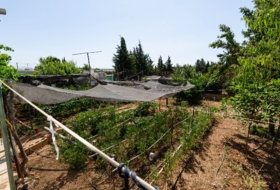 Alameda 1000&nbsp;m² 