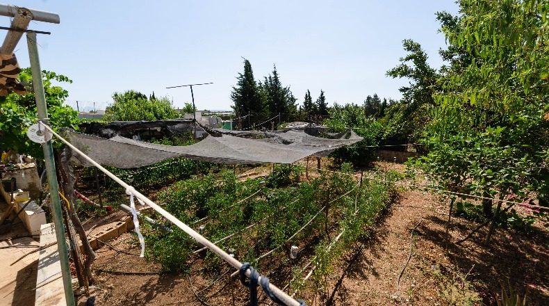 Málaga - Mollina - 1000m2
