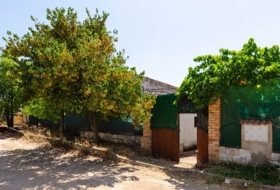 Alameda 1000&nbsp;m² 