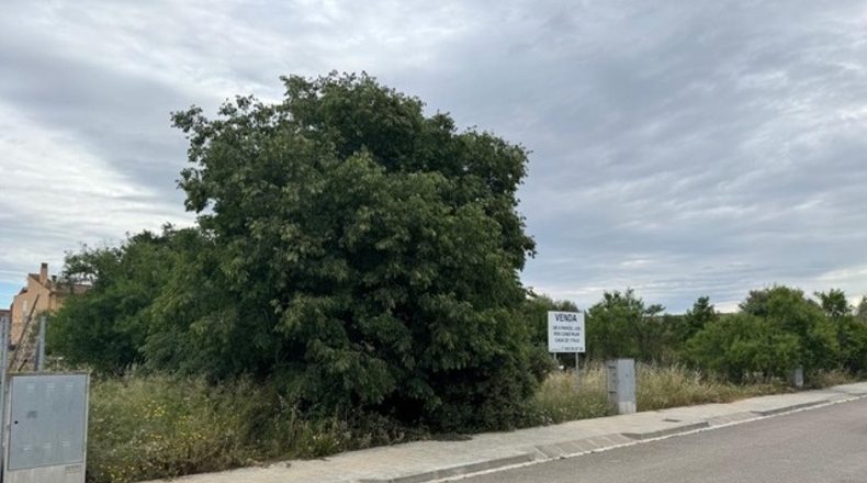 Barcelona - Santa Margarida i els Monjos - 1260m2