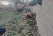 Suelo urbano en venta en la Carrer del Mar, Portbou, ref: TR108438 foto