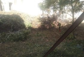 Foto 17