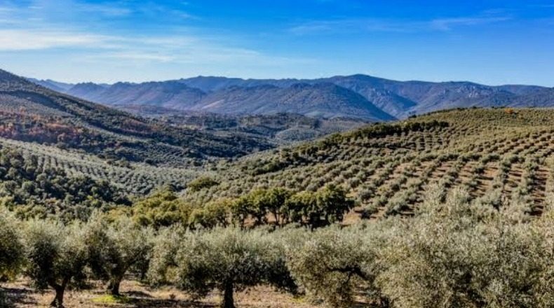 Badajoz - Navalvillar de Pela - 8412m2