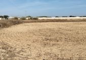 Terreny no urbanitzable en venda a la Camino de los Llanos, Chiclana de la Frontera, ref.: TR297420 foto