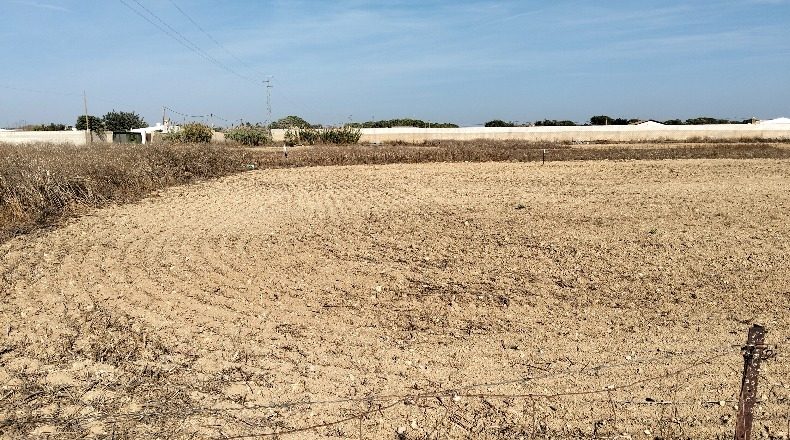Cádiz - Chiclana de la Frontera - 560m2