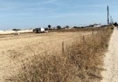 Terreny no urbanitzable en venda a la Camino de los Llanos, Chiclana de la Frontera, ref.: TR297420 foto