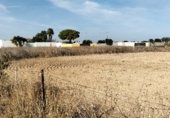 Terreny no urbanitzable en venda a la Camino de los Llanos, Chiclana de la Frontera, ref.: TR297420 foto