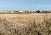 Terreny no urbanitzable en venda a la Camino de los Llanos, Chiclana de la Frontera, ref.: TR297420 foto