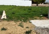 Terreny no urbanitzable en venda a la Camino hijuela de las lagunetas, Chiclana de la Frontera, ref.: TR297399 foto
