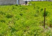 Terreny no urbanitzable en venda a la Camino hijuela de las lagunetas, Chiclana de la Frontera, ref.: TR297399 foto
