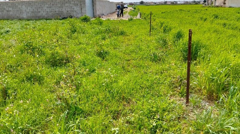 Cádiz - Chiclana de la Frontera - 1000m2