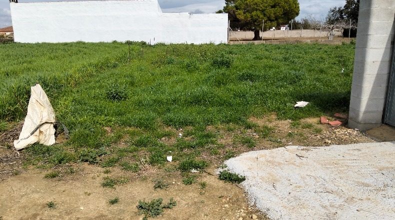 Cádiz - Chiclana de la Frontera - 1000m2