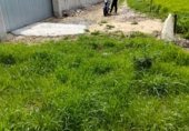 Terreny no urbanitzable en venda a la Camino hijuela de las lagunetas, Chiclana de la Frontera, ref.: TR297399 foto