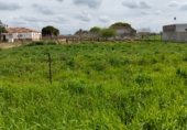 Terreny no urbanitzable en venda a la Camino hijuela de las lagunetas, Chiclana de la Frontera, ref.: TR297399 foto