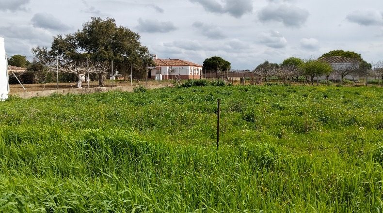Cádiz - Chiclana de la Frontera - 1000m2