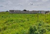 Terreny no urbanitzable en venda a la Camino hijuela de las lagunetas, Chiclana de la Frontera, ref.: TR297399 foto