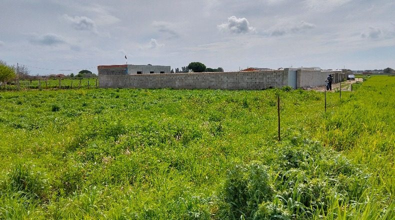 Cádiz - Chiclana de la Frontera - 1000m2