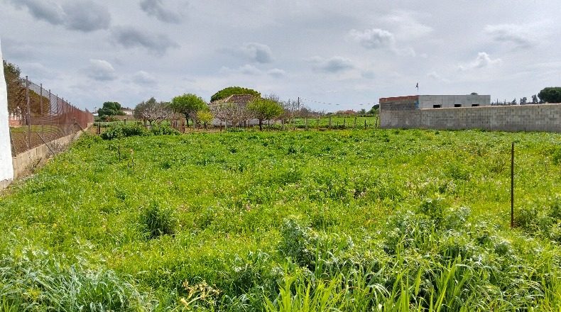 Cádiz - Chiclana de la Frontera - 1000m2