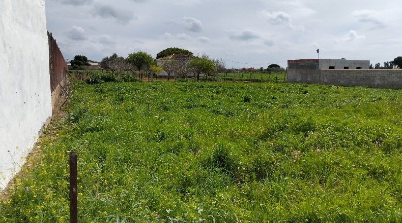 Cádiz - Chiclana de la Frontera - 1000m2