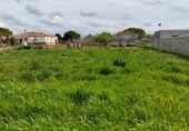 Terreny no urbanitzable en venda a la Camino hijuela de las lagunetas, Chiclana de la Frontera, ref.: TR297399 foto