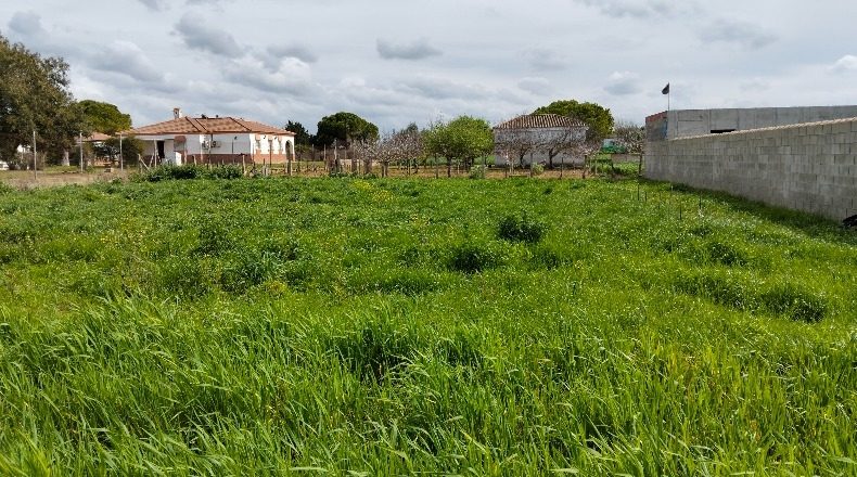 Cádiz - Chiclana de la Frontera - 1000m2