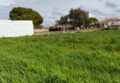 Terreny no urbanitzable en venda a la Camino hijuela de las lagunetas, Chiclana de la Frontera, ref.: TR297399 foto