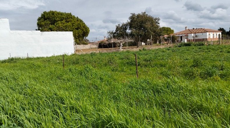Cádiz - Chiclana de la Frontera - 1000m2