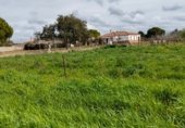 Terreny no urbanitzable en venda a la Camino hijuela de las lagunetas, Chiclana de la Frontera, ref.: TR297399 foto