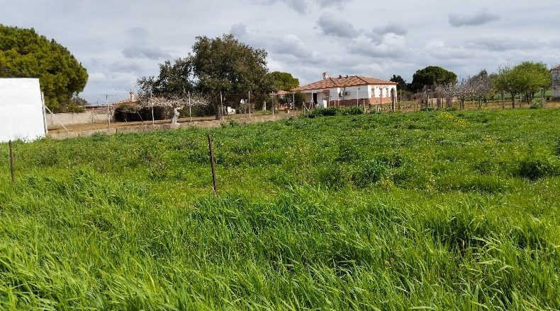 Cádiz - Chiclana de la Frontera - 1000m2