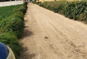 Foto 16