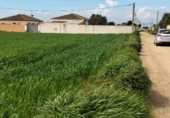 Terreny no urbanitzable en venda a la Camino hijuela de las lagunetas, Chiclana de la Frontera, ref.: TR297399 foto