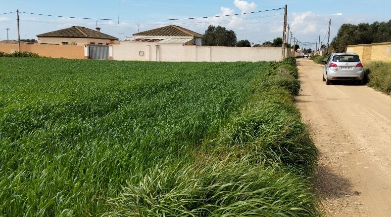 Cádiz - Chiclana de la Frontera - 1000m2