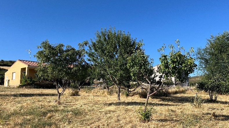 Ávila - Las Navas del Marqués - 5700m2