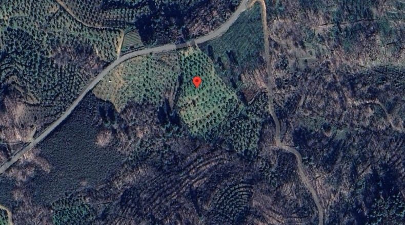 Cáceres - Villasbuenas de Gata - 20000m2