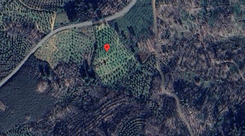 Cáceres - Villasbuenas de Gata - 20000m2