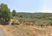 Non-developable land for sale on Calle Cantarranas, Villasbuenas de Gata, ref: TR305513 photo