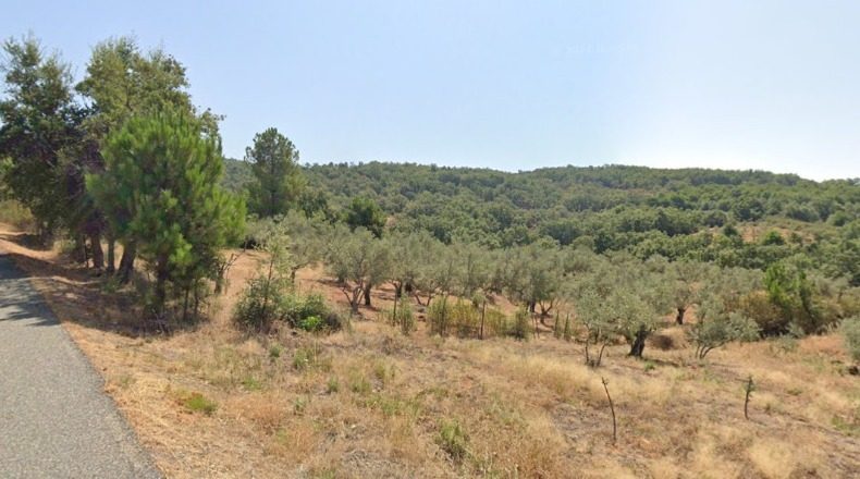 Cáceres - Villasbuenas de Gata - 20000m2