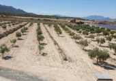 Parcel·la urbanitzable en venda a la RM-A10, Abarán, ref.: TR305677 foto