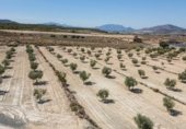 Parcel·la urbanitzable en venda a la RM-A10, Abarán, ref.: TR305677 foto