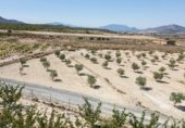 Parcel·la urbanitzable en venda a la RM-A10, Abarán, ref.: TR305677 foto