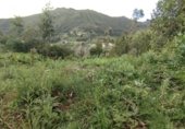 Sòl urbà en venda a la Coba, Cariño, ref.: TR306061 foto