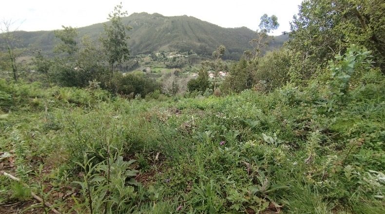 La Corunya - Cariño - 1000m2
