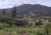Sòl urbà en venda a la Coba, Cariño, ref.: TR306061 foto