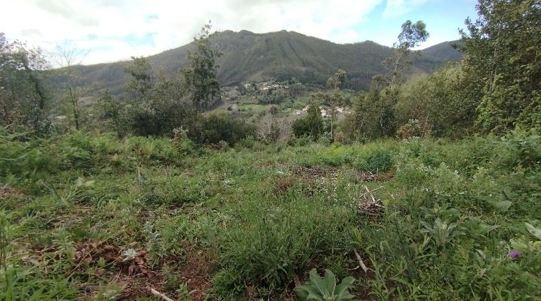 La Corunya - Cariño - 1000m2