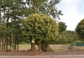 Sòl urbà en venda a la Avenida de Portugal, Ponferrada, ref.: TR306059 foto