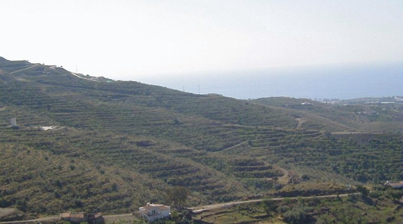 Málaga - Arenas - 630000m2